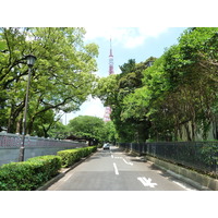 Picture Japan Tokyo Shiba Park 2010-06 10 - Street Shiba Park
