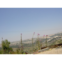 Picture Israel Road 2001-07 5 - Monument Road