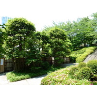 Picture Japan Tokyo Shiba Park 2010-06 34 - Summer Shiba Park