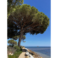 Picture France Corsica Pinarellu Beach 2024-05 25 - To see Pinarellu Beach