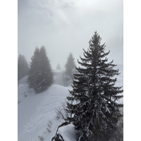Picture France Praz sur Arly 2025-02 22 - Savings Praz sur Arly