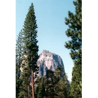 Picture United States Yosemite National Park 1992-08 2 - Winter Yosemite National Park