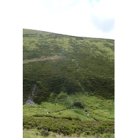 Picture United Kingdom Cairngorms National Park 2011-07 131 - Walking Street Cairngorms National Park