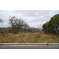 Picture South Africa Kruger National Park 2008-09 177 - SPA Kruger National Park