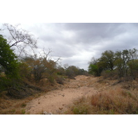 Picture South Africa Kruger National Park 2008-09 176 - Hot Season Kruger National Park