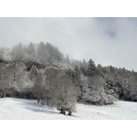Picture France Praz sur Arly 2025-02 38 - Lake Praz sur Arly