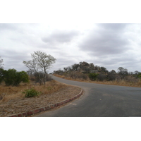 Picture South Africa Kruger National Park 2008-09 184 - Winter Kruger National Park