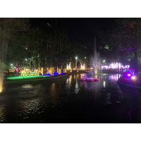 Picture Thailand Chiang Mai Nong Buak Haad Public Park 2024-01 42 - Summer Nong Buak Haad Public Park