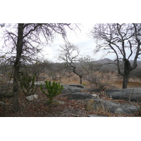 Picture South Africa Kruger National Park 2008-09 182 - Transport Kruger National Park