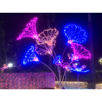 Picture Thailand Chiang Mai Nong Buak Haad Public Park 2024-01 52 - Cheap Room Nong Buak Haad Public Park
