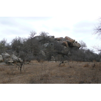 Picture South Africa Kruger National Park 2008-09 18 - Rain Season Kruger National Park