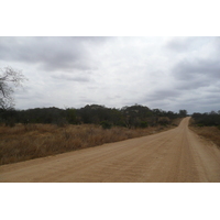 Picture South Africa Kruger National Park 2008-09 14 - SPA Kruger National Park