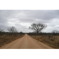 Picture South Africa Kruger National Park 2008-09 72 - To see Kruger National Park