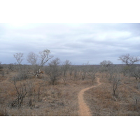 Picture South Africa Kruger National Park 2008-09 93 - Street Kruger National Park