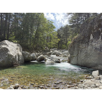Picture France Corsica La Restonica 2025-06 47 - To see La Restonica