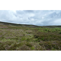 Picture United Kingdom Cairngorms National Park 2011-07 17 - Hotels Cairngorms National Park