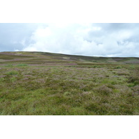 Picture United Kingdom Cairngorms National Park 2011-07 32 - Spring Cairngorms National Park