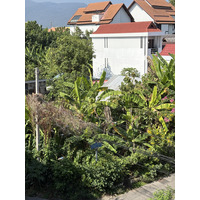 Picture Thailand Chiang Mai Kalm 2024-12 21 - City Sight Kalm