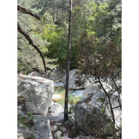 Picture France Corsica La Restonica 2025-06 39 - Cost La Restonica