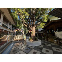 Picture Thailand Chiang Mai Doi Suthep 2024-01 32 - City View Doi Suthep