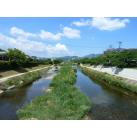 Picture Japan Kyoto Kamo River 2010-06 10 - Spring Kamo River