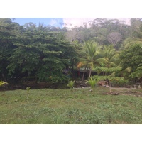 Picture Costa Rica Dominical 2015-03 64 - Winter Dominical