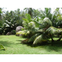 Picture Seychelles Grande Soeur 2011-10 100 - Rental Grande Soeur