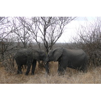 Picture South Africa Kruger National Park 2008-09 119 - Weather Kruger National Park