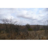 Picture South Africa Kruger National Park 2008-09 153 - City View Kruger National Park