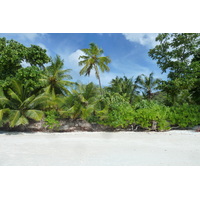 Picture Seychelles Anse Lazio 2011-10 149 - Lands Anse Lazio