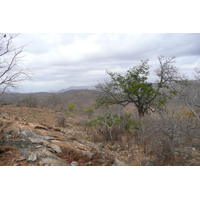 Picture South Africa Kruger National Park 2008-09 164 - Winter Kruger National Park