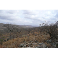 Picture South Africa Kruger National Park 2008-09 169 - Savings Kruger National Park