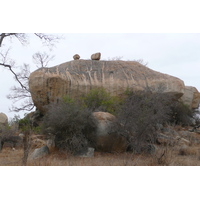 Picture South Africa Kruger National Park 2008-09 147 - Savings Kruger National Park