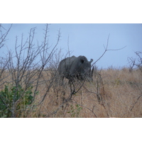 Picture South Africa Kruger National Park 2008-09 56 - Saving Kruger National Park