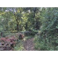 Picture France Corsica Corte 2025-06 20 - Resorts Corte