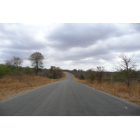 Picture South Africa Kruger National Park 2008-09 59 - To see Kruger National Park