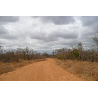 Picture South Africa Kruger National Park 2008-09 79 - Savings Kruger National Park