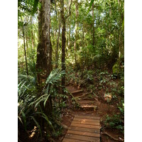 Picture New Caledonia Parc de la Riviere Bleue Le Grand Kaori 2010-05 30 - Street Le Grand Kaori