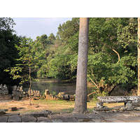 Picture Cambodia Siem Reap Banteay Kdei 2023-01 20 - Night Banteay Kdei