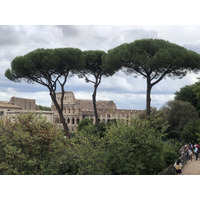 Picture Italy Rome Roman Forum 2024-09 81 - To see Roman Forum