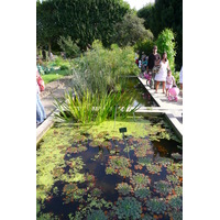 Picture France Paris Jardin des Plantes 2007-08 61 - Hot Season Jardin des Plantes