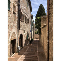 Picture Italy Assisi 2024-09 45 - Spring Assisi