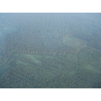 Picture Russia Ural Airlines 2006-07 15 - Rental Ural Airlines
