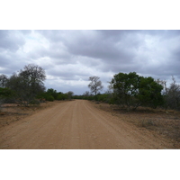 Picture South Africa Kruger National Park 2008-09 144 - Rentals Kruger National Park