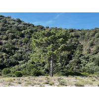 Picture France Corsica Ovu Santu Beach⁩ 2024-05 0 - Monument Ovu Santu Beach⁩