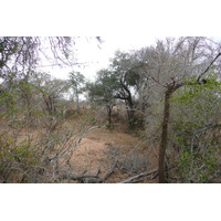 Picture South Africa Kruger National Park 2008-09 143 - Winter Kruger National Park