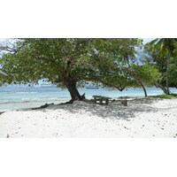 Picture Seychelles Grande Soeur 2011-10 112 - Rentals Grande Soeur