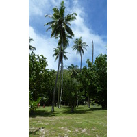 Picture Seychelles Grande Soeur 2011-10 93 - Rentals Grande Soeur