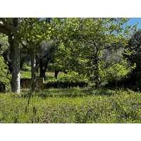Picture France Vence 2024-04 34 - Lakes Vence