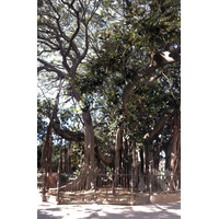 Picture Italy Sicily Palermo 2020-02 171 - Monument Palermo
